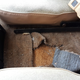 Image for article titled Please Help Me Decide If I Should Buy This 1979 Jeep Cherokee Golden Eagle